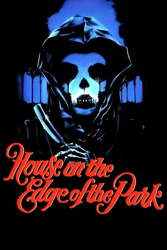 Poster for the movie "House on the Edge of the Park"