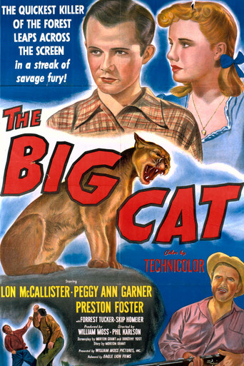 Poster for the movie "The Big Cat"