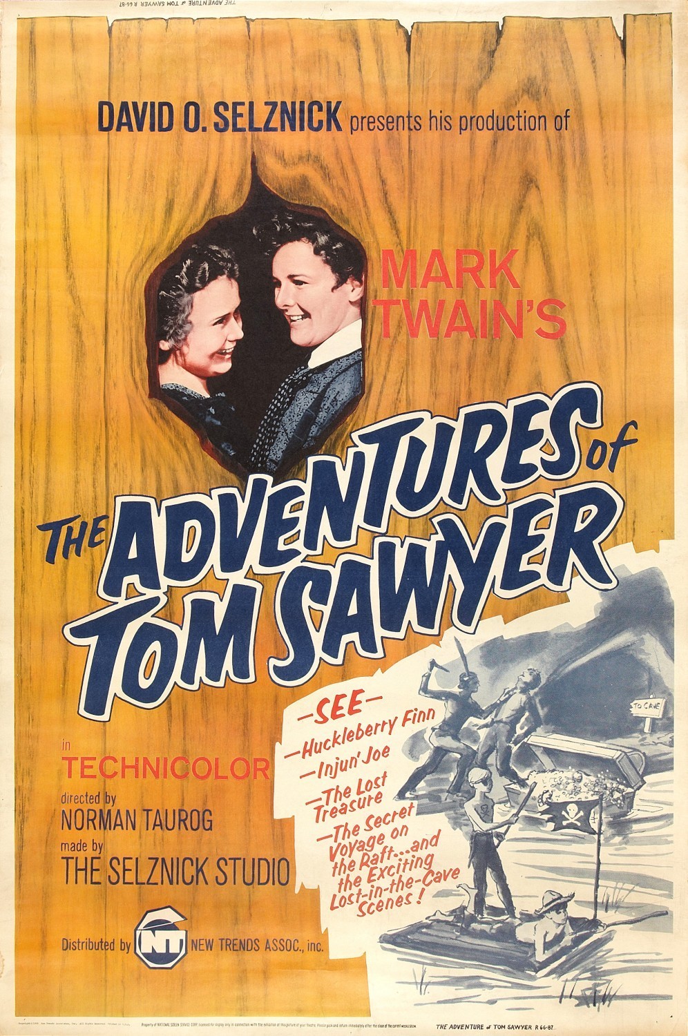 Poster for the movie "The Adventures of Tom Sawyer"