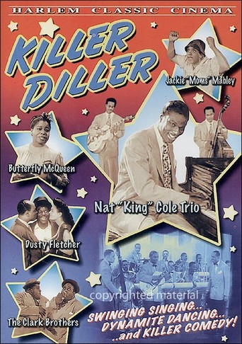 Poster for the movie "Killer Diller"