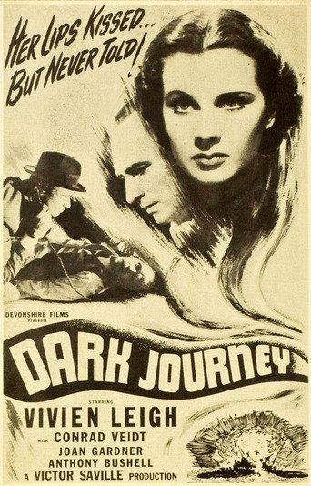 Poster for the movie "Dark Journey"