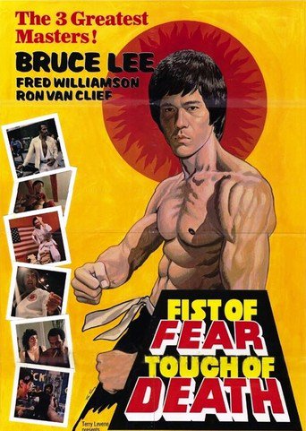 Poster for the movie "Fist of Fear, Touch of Death"