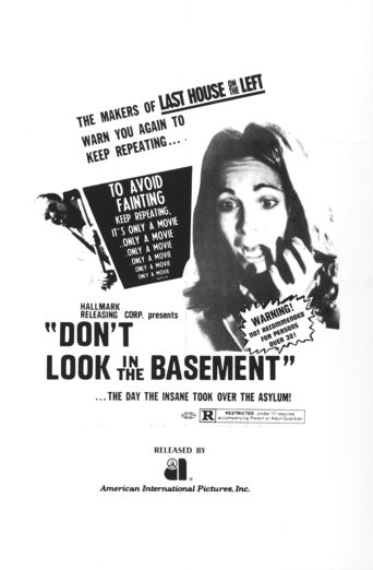Poster for the movie "Don't Look in the Basement"