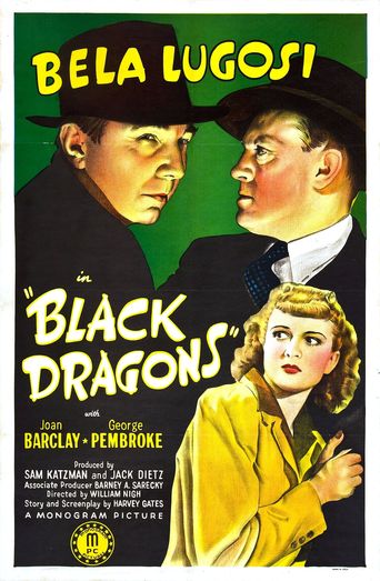 Poster for the movie "Black Dragons"
