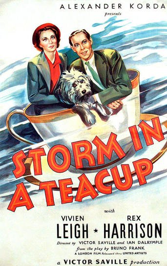 Poster for the movie "Storm in a Teacup"